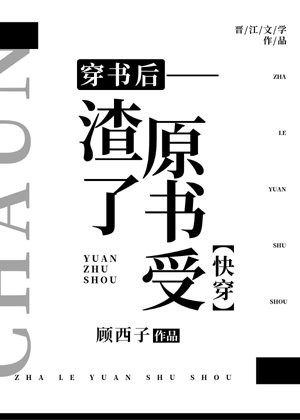 After passing through the book, the original book is slag [Quick Transmigration]