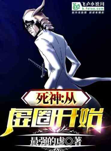 Bleach From Hueco Mundo